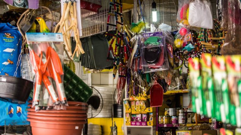 Exploring the Unique Charm of Filipino Stores